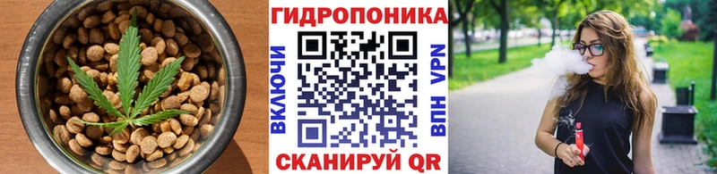 где можно купить   Медвежьегорск  Печенье с ТГК марихуана 