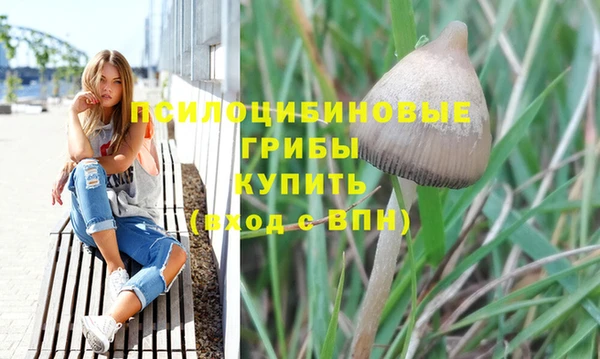 МДПВ Краснотурьинск